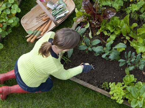 Selection of native plants ideal for Charlton landscaping