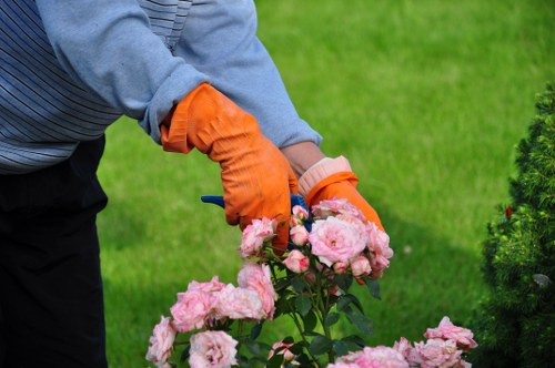 Technician trimming a formal hedge in an urban garden
