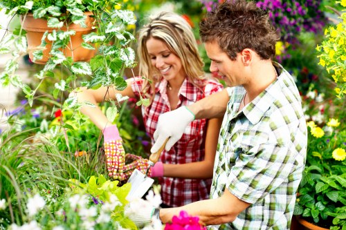 A garden scene with two individuals working together in a lush outdoor space, featuring a well-maintained lawn, vibrant flowering plants, and various green shrubs and trees. The person on the right, wearing a checked shirt and gardening gloves, is using a hand tool for tending the plants, while the woman on the left, dressed in a red and white plaid shirt, observes and assists. The background showcases a mix of flowering bushes in purple, yellow, and pink hues, along with a potted plant and a broad leafy hedge, indicating a carefully landscaped garden area typical of residential landscaping in Charlton. The lighting suggests a bright, sunny day, emphasizing the natural tones of the garden’s soil, plants, and grass, aligning with professional gardening and lawn care services offered by Garden Maintenance Charlton.