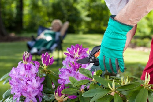 A close-up of a gardener's hand wearing a bright turquoise gardening glove, using a pruning shear to trim vibrant purple and pink rhododendron flowers and green foliage in a well-maintained garden. In the background, a child is relaxed in a garden chair under a large tree, with a lush lawn and mature trees surrounding the outdoor space, indicating a peaceful and cultivated garden environment typical of Charlton. The scene captures natural daylight with dappled sunlight filtering through the foliage, highlighting the healthy shrubbery and the tidy, landscaped outdoor area that appropriate gardening and maintenance services by Garden Maintenance Charlton can help care for to ensure vibrant, healthy gardens in the local area.